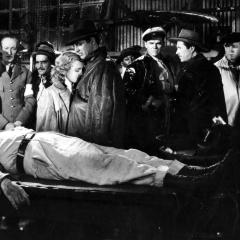 天使之翼 - vA4da4vUSpecpFHJXWYqZx7giL2.jpg