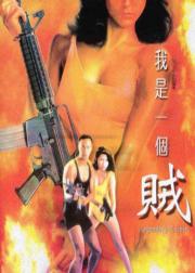 我是一个贼