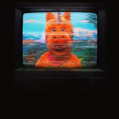 逃出布迪秀 - kghxBvN7f3vUt377yjO4ygbefYN.jpg