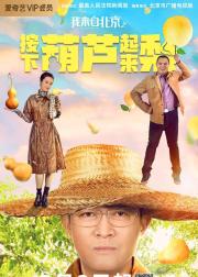 我来自北京之按下葫芦起来梨