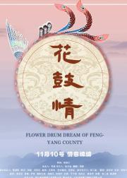 花鼓情