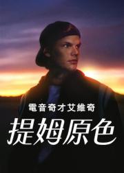 电音奇才艾维奇：蒂姆原色
