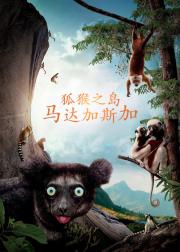 马达加斯加：狐猴之岛