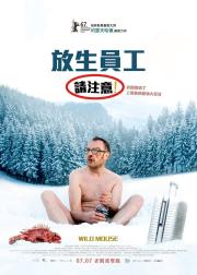 疯狂的老鼠