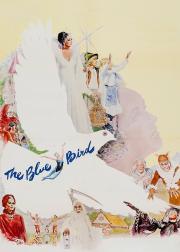 青鸟